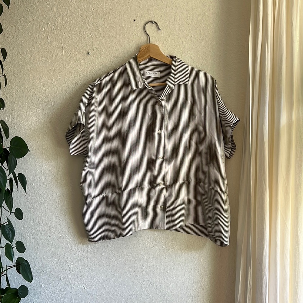Everlane Silk Box Shirt